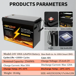 12V24V100A LiFePO4Portable Smart BMS for RV Solar No VAT